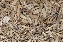 biomass boilers Rhydtalog